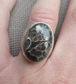 Zilveren ring gezet met Turritella Agaat maat 17.7 mm